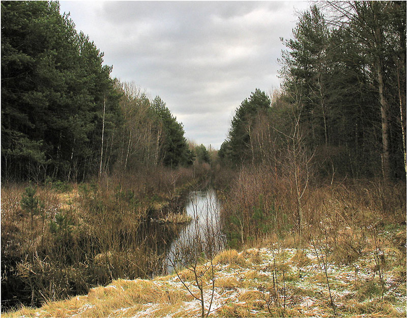 nicht Winterstimmung