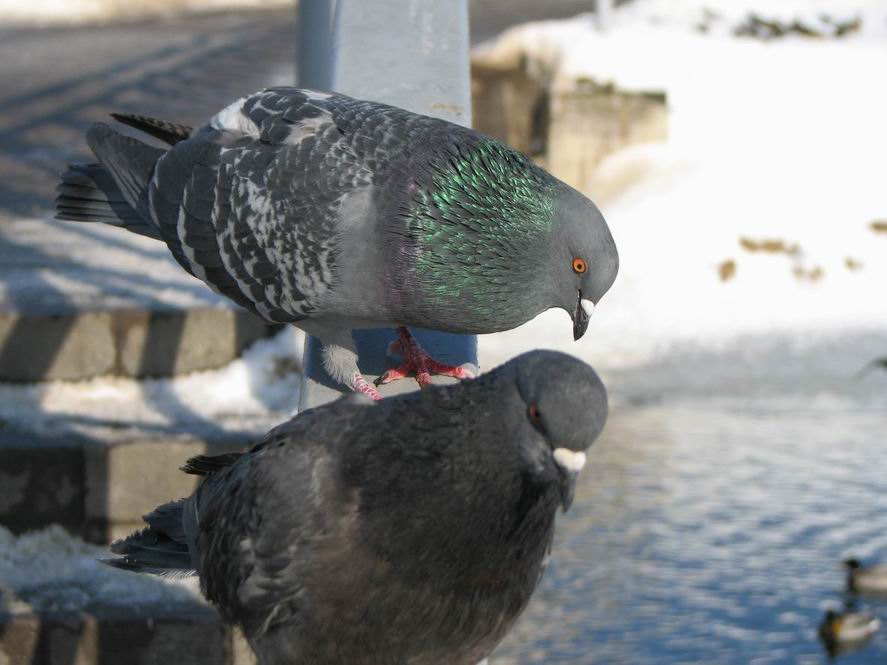 Sag mir nicht, wie spät es ist?