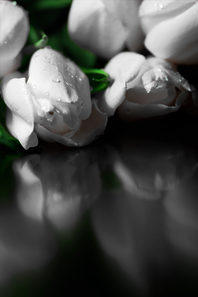 auf den Ertrag des Frühlings