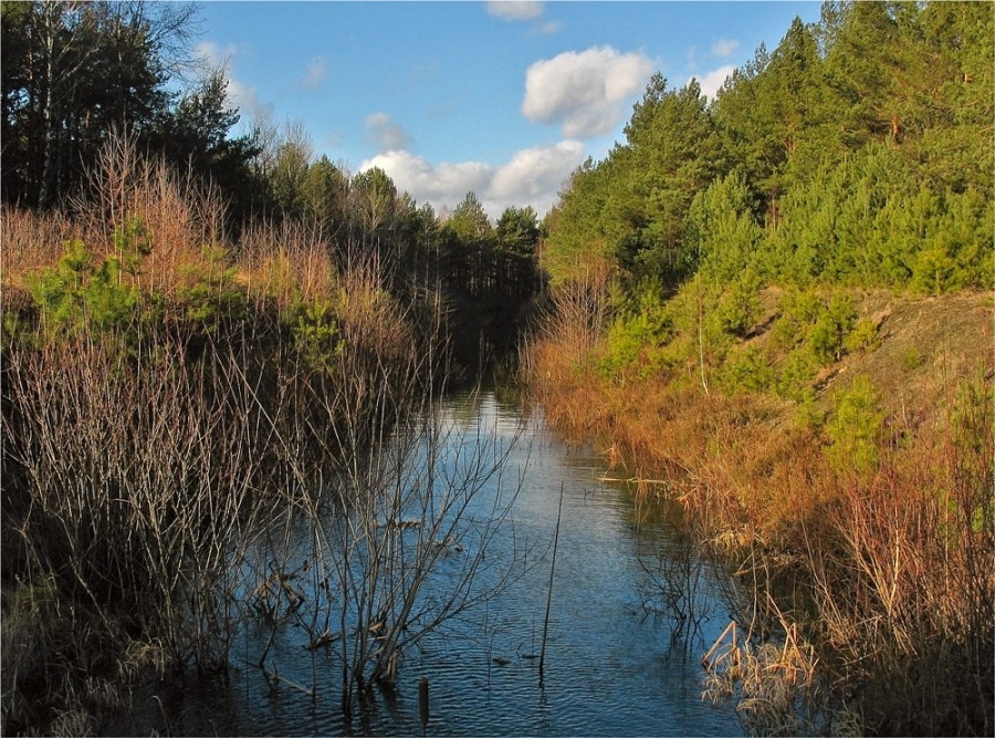 nicht Winterstimmung Tag 2 nd.