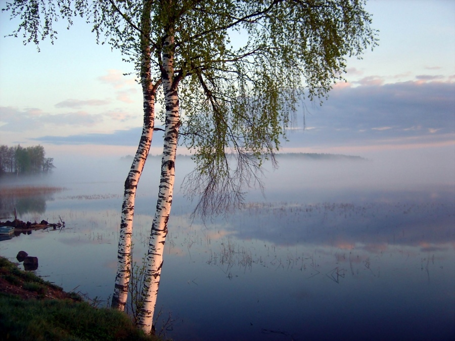 Seliger im Morgennebel