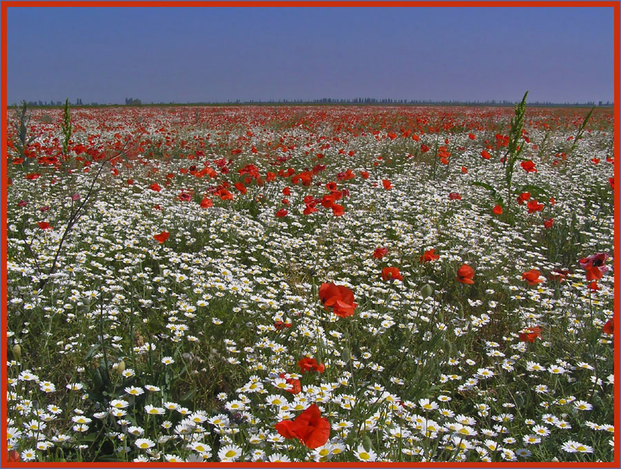 Verbotene Schönheit