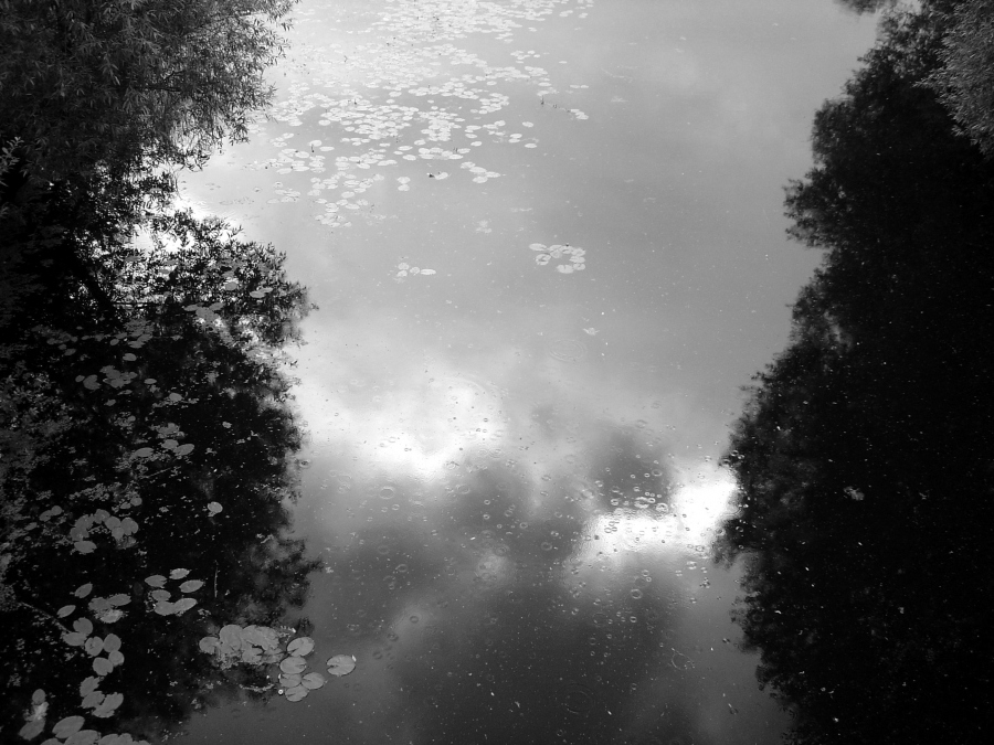 Regen, im Wasser spiegeln