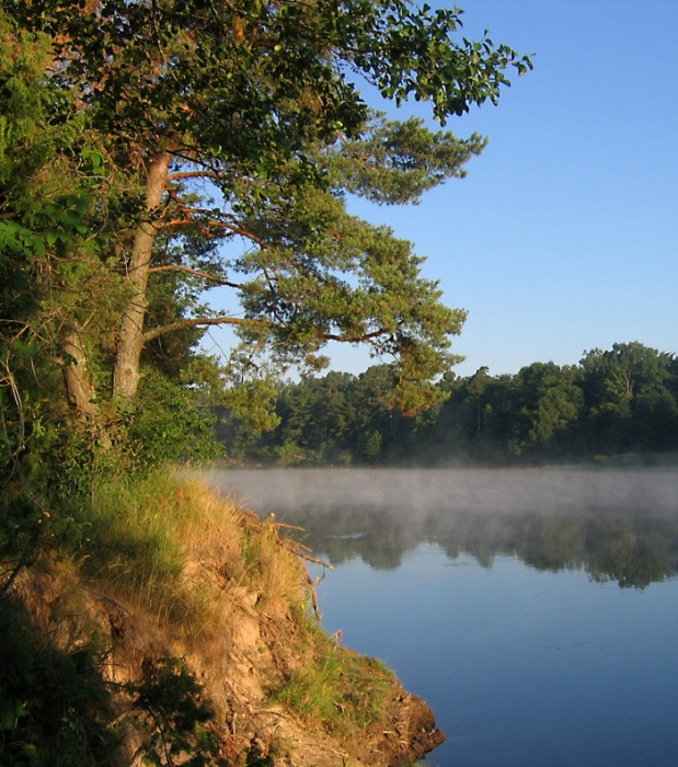 Neman. Morgen. Sommer.