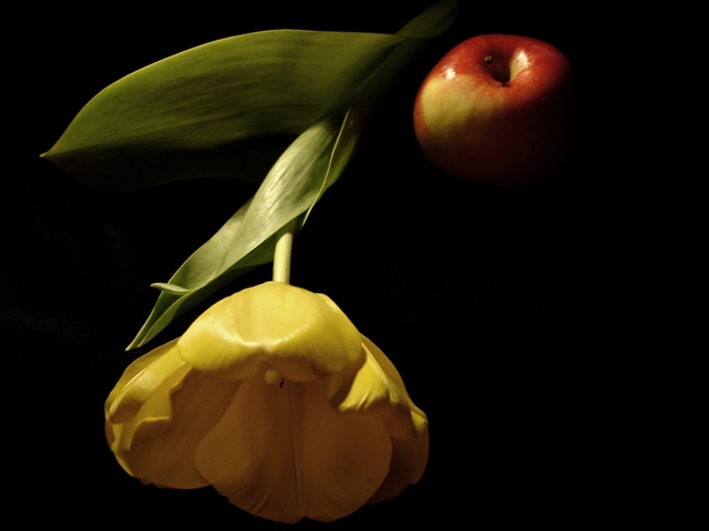 Glückwünsche !!!!!