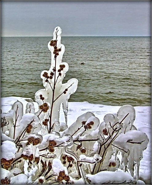 Ein Budza Vesna! Ca svyatam uns! :)