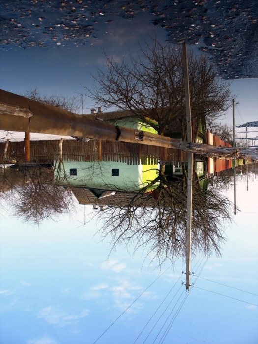 Als der Frühling kam in den Reflexionen ...