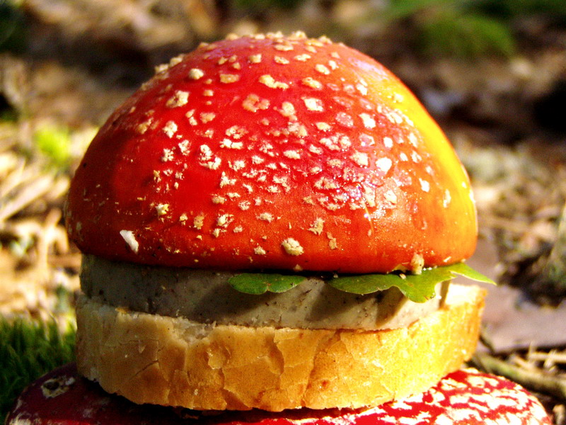 Nur auf diese Weise! Und dass Big Mac!