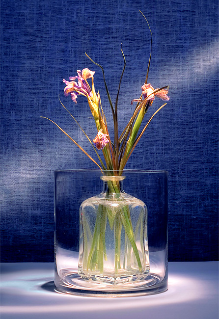 Es wird noch ein Urlaub sein