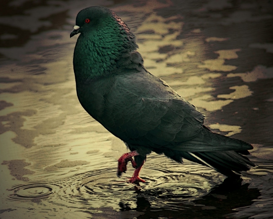 | Ein wichtiger Schritt |