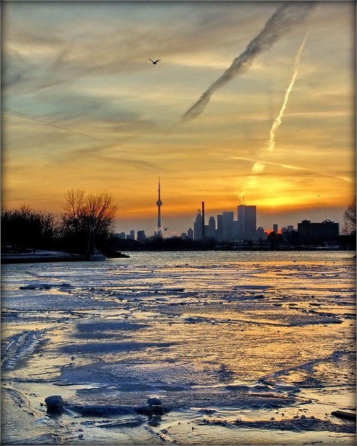 Oase für Schlachtschiff Toronto
