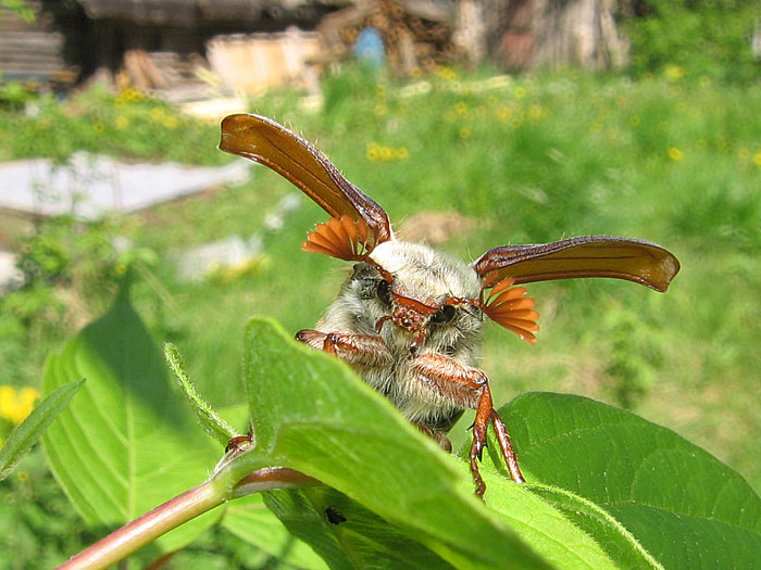 Lassen Sie mich ausziehen