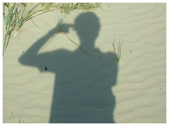 Die unerträgliche Leichtigkeit des Seins