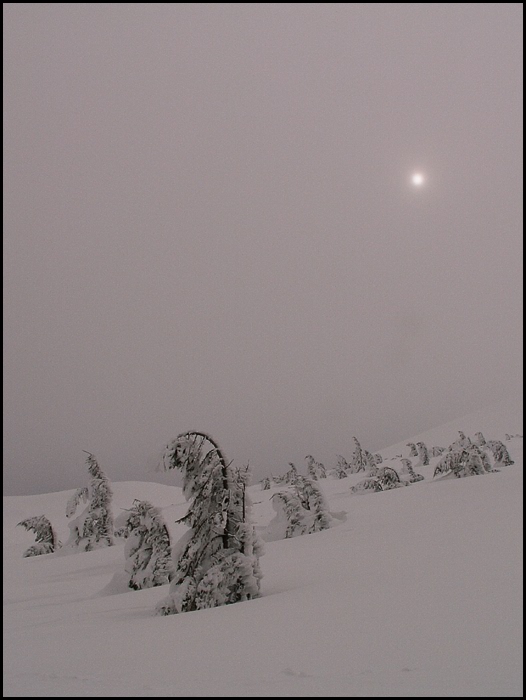 Winter 1812. Besiegt. Retreat. (Natural Retrospektive)