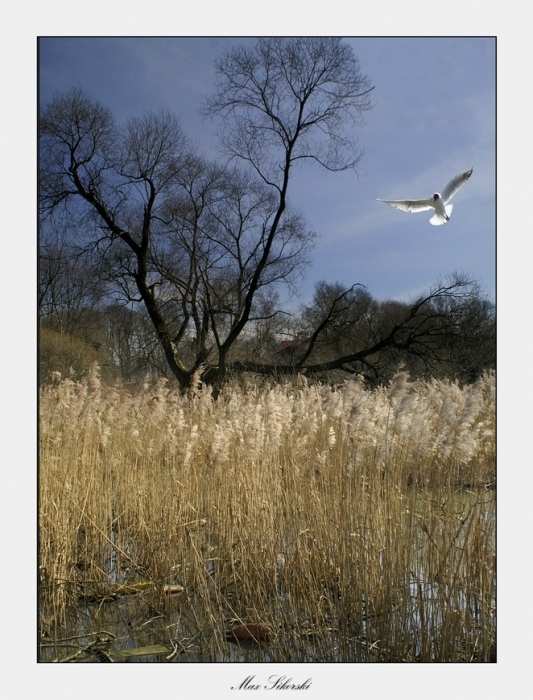 Sachbüchern Möwe Jonathan, der in jedem von uns lebt