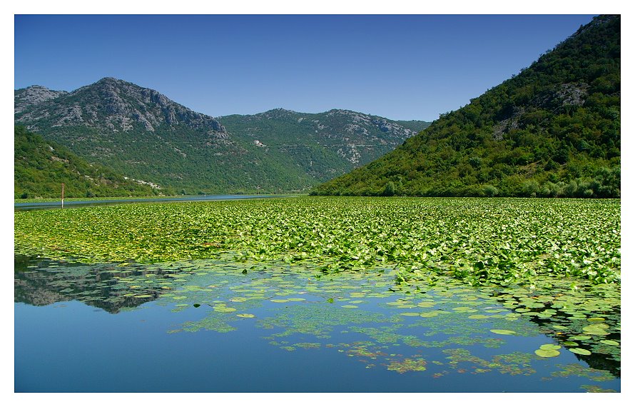 Lake Montenegro
