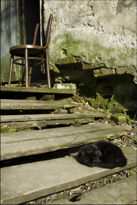 schwarze Katze, die kein Glück hat ...