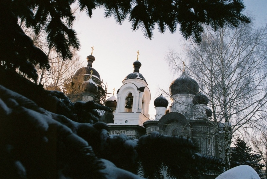 Young Kuppel \ \ \ \