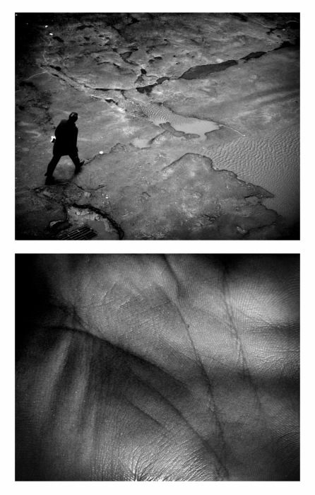 Stepping durch das Leben