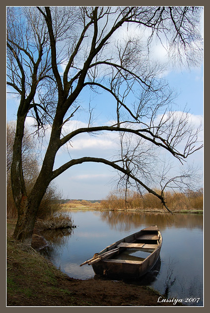 Die Harmonie der Stille