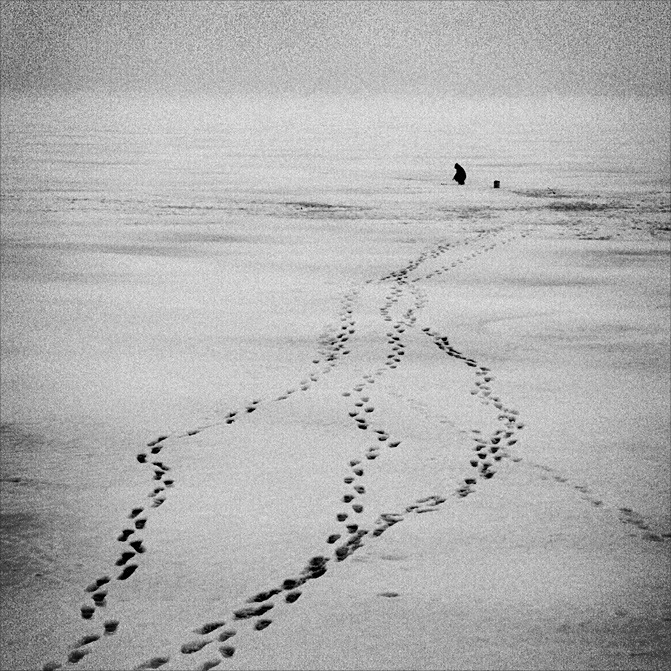 eine (die zu der Ausstellung einladen)