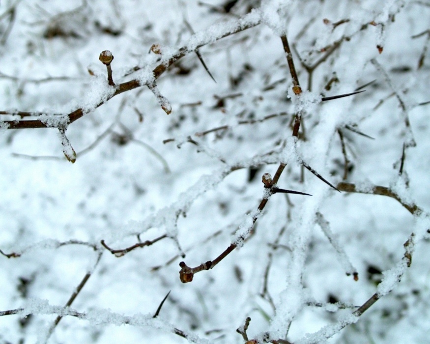 Und jeden Tag passiert es ...