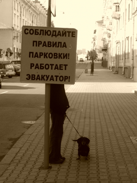 Strenge Regeln der Hund!