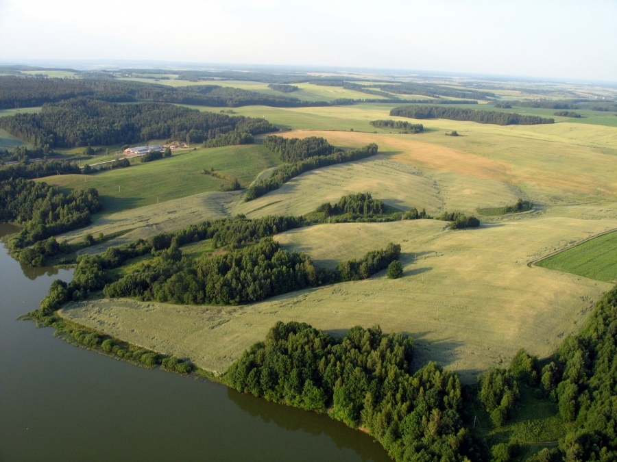 Feld Weißrussland