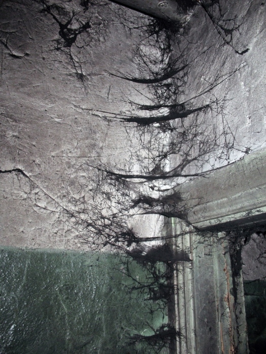 ... Und in der roten Ecke ...