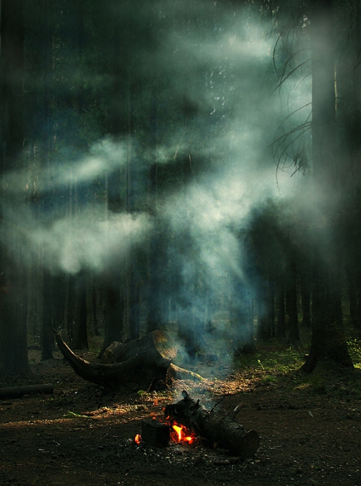 von denen, die kommen, um durch das Feuer warm