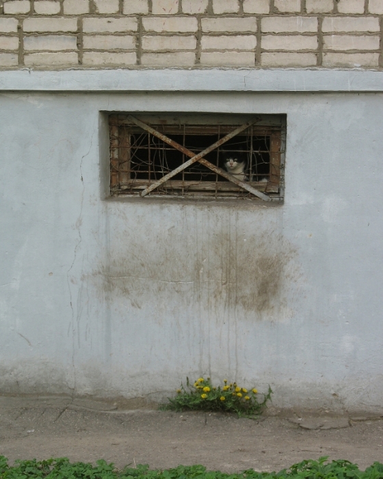 Unter dem Deckmantel