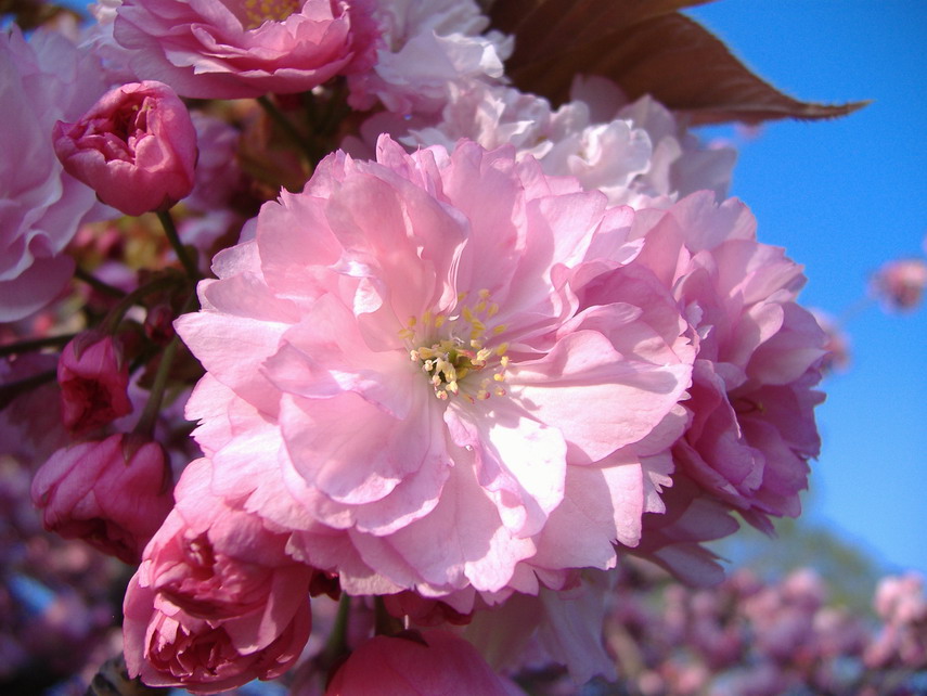 Der Frühling ist nah!
