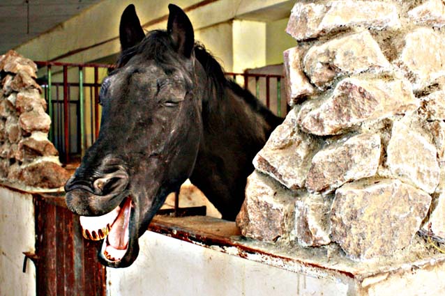 betroffen von tee-hee!