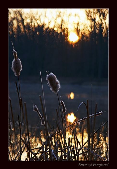 Das Schweigen der aufgehenden Sonne