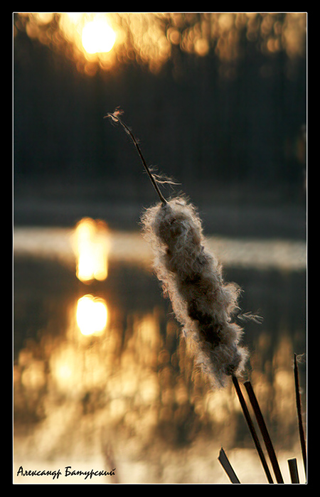 Im Gespräch mit der Sonne