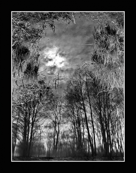 in eine geheimnisvolle Welt