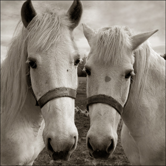 "... Zusammen angekettet"