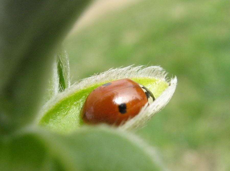 wichtiger ist, angenehme Nachtruhe!