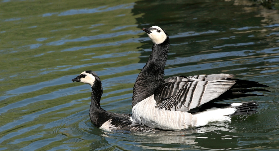 Nehmen Sie Kontakt auf