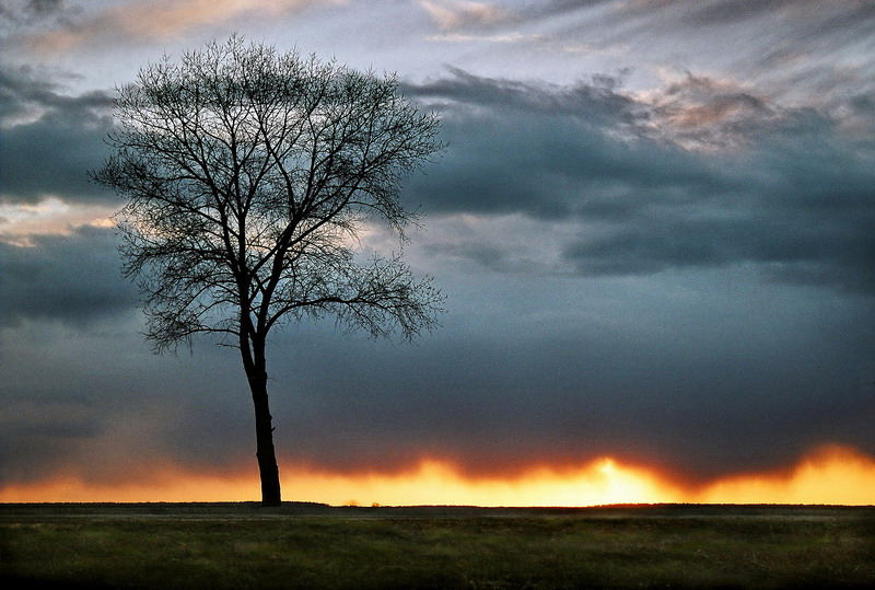 Sonnenuntergang in der regen