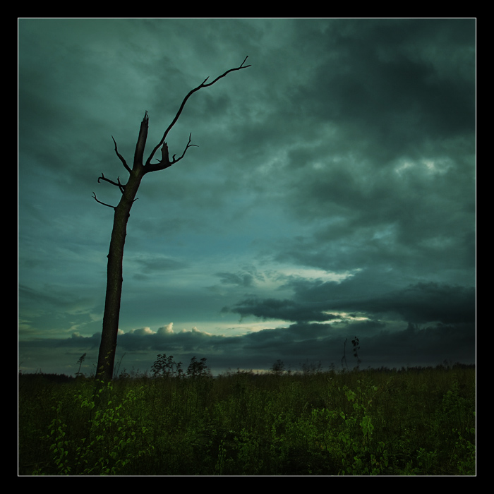 auf der Suche nach einem Traum ...