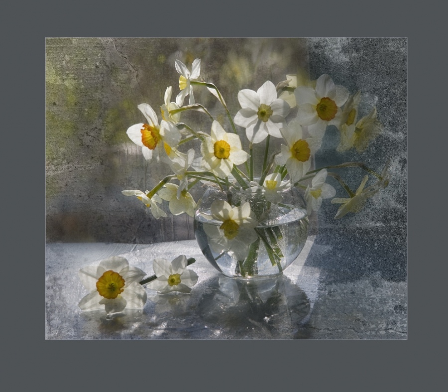 Bunch auf dem Fenster.