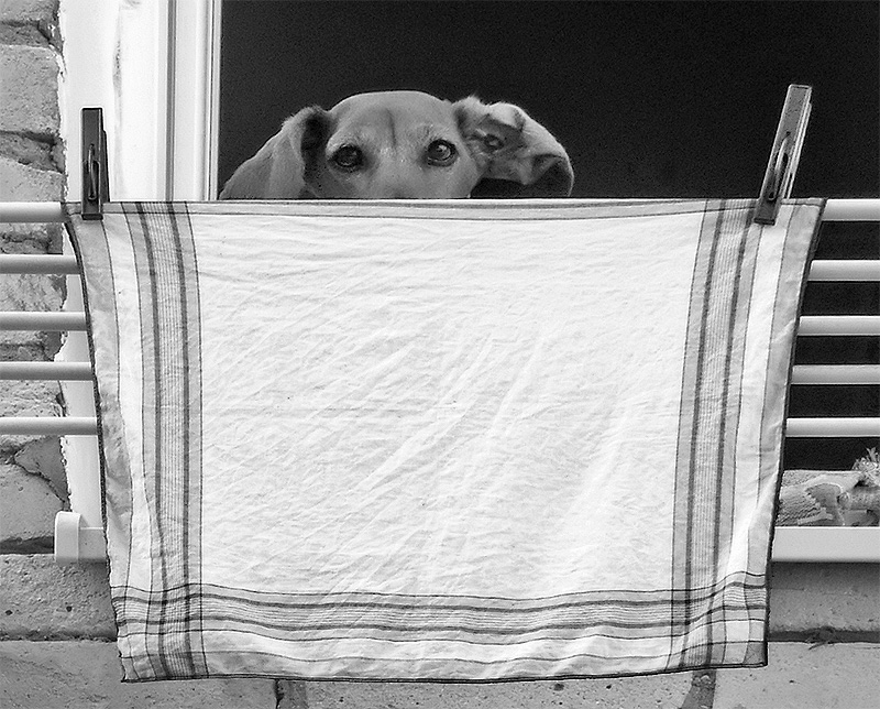 Keane? - Lassen Sie sich nicht! :)