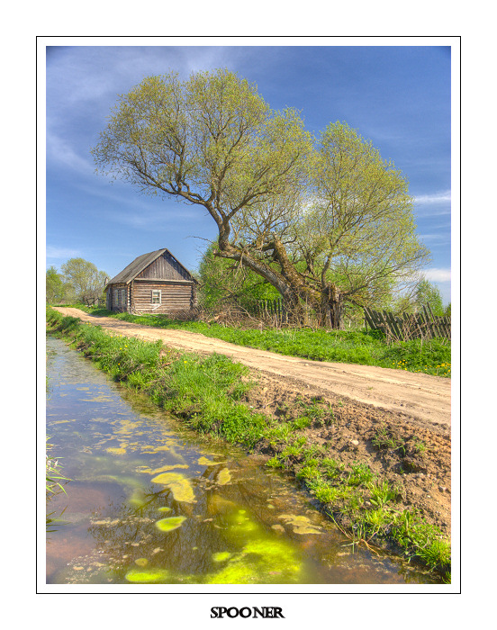 Der Sommer ist gekommen