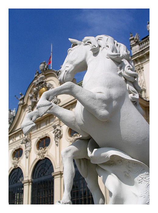 Horse Belvedere