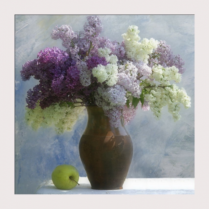 Apple-Lavendel ...