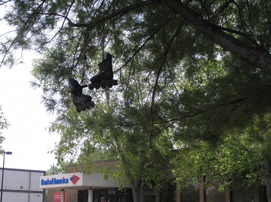 Bank of America: Normal Flug