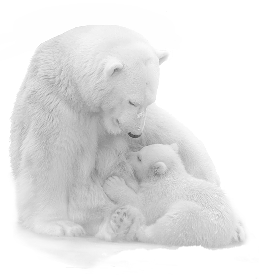 von Zärtlichkeit und Liebe