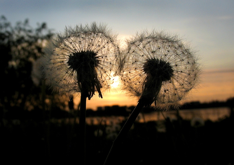 "Gute Nacht" - "und auch Sie" ...