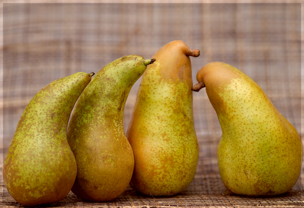 Entschuldigen Sie mich, Jungs!